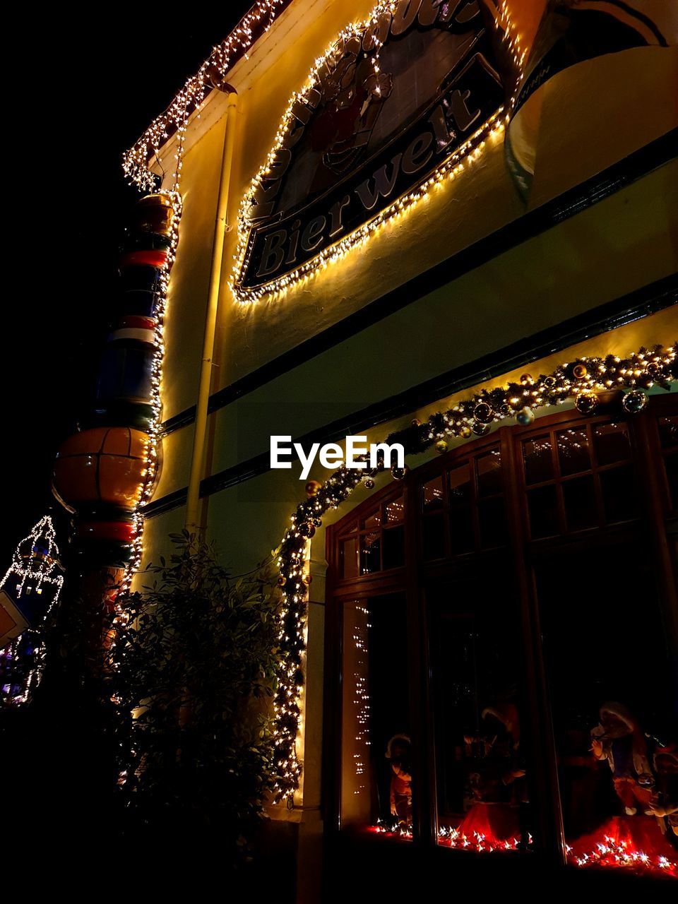 LOW ANGLE VIEW OF CHRISTMAS TREE AT NIGHT