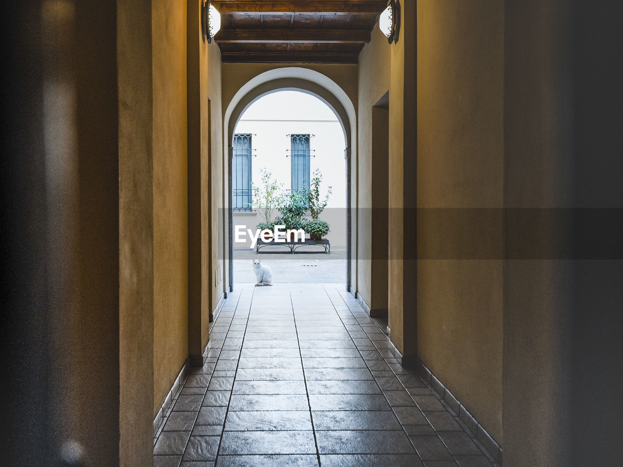 CORRIDOR OF BUILDING WITH CLOSED DOOR