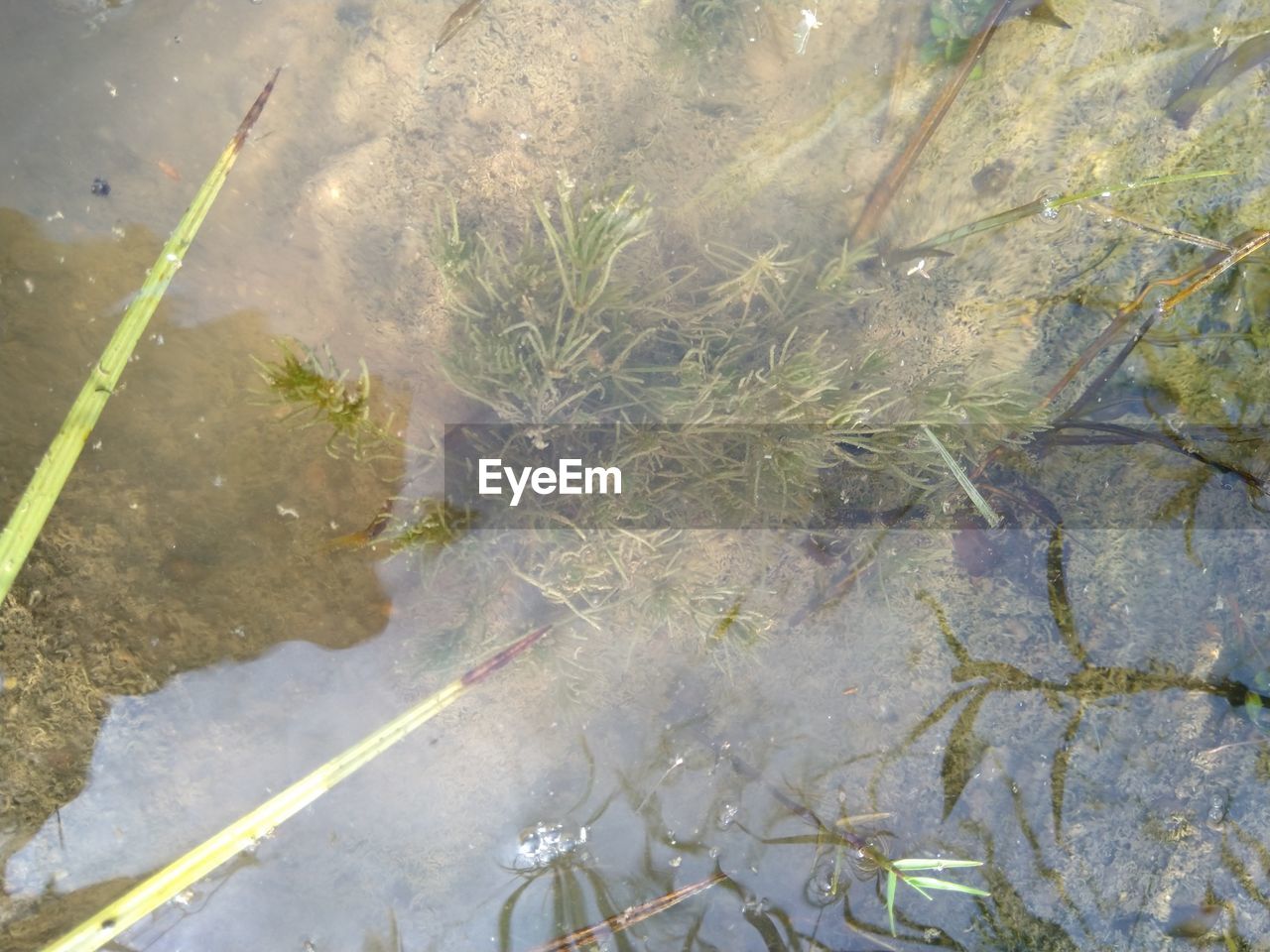 HIGH ANGLE VIEW OF PUDDLE IN LAKE