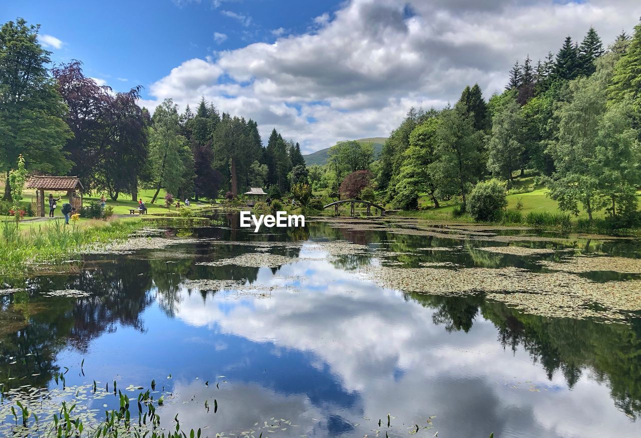 Scenic view of lake by trees against sky