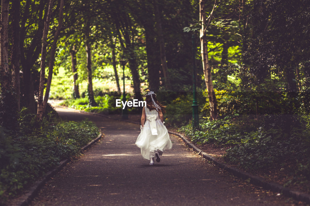 View of a bride in forest