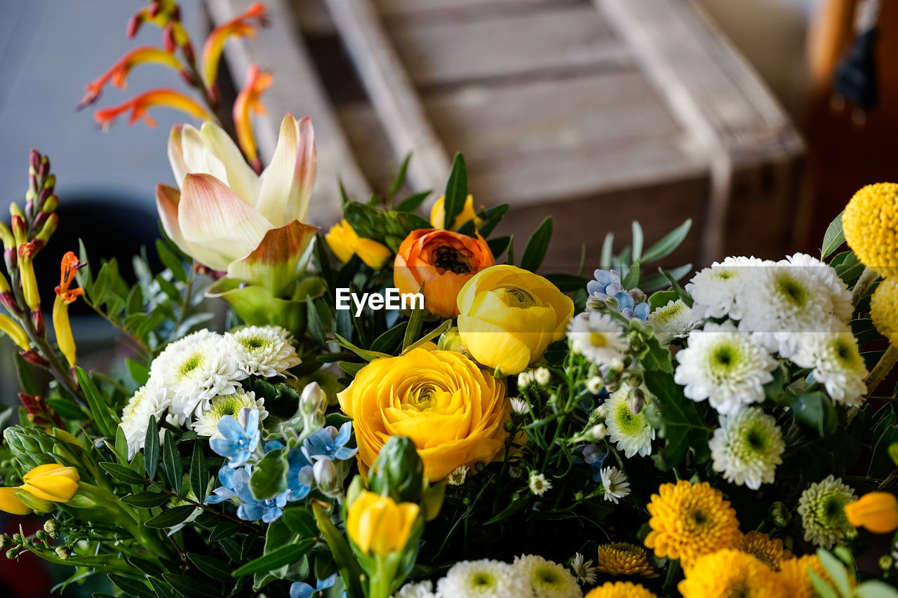CLOSE-UP OF MULTI COLORED FLOWER BOUQUET