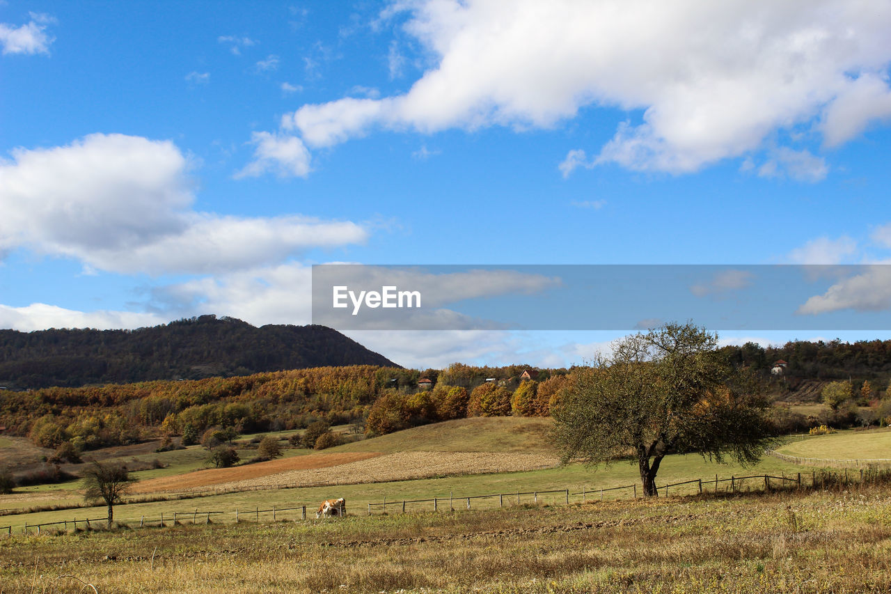 Scenic view of landscape against sky