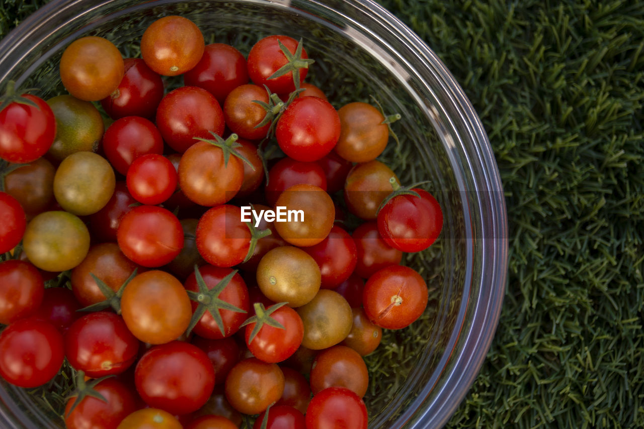 high angle view of apples in basket