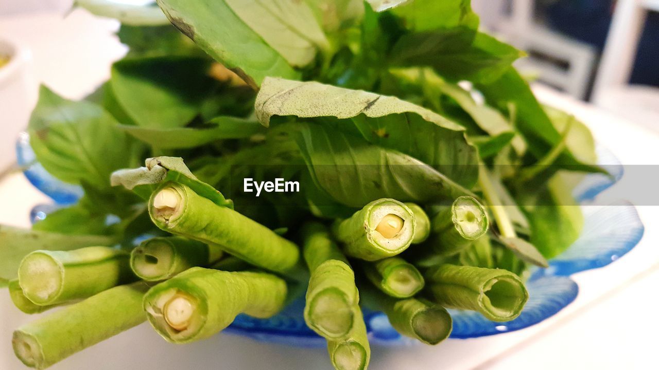 CLOSE-UP OF GREEN VEGETABLES ON TABLE