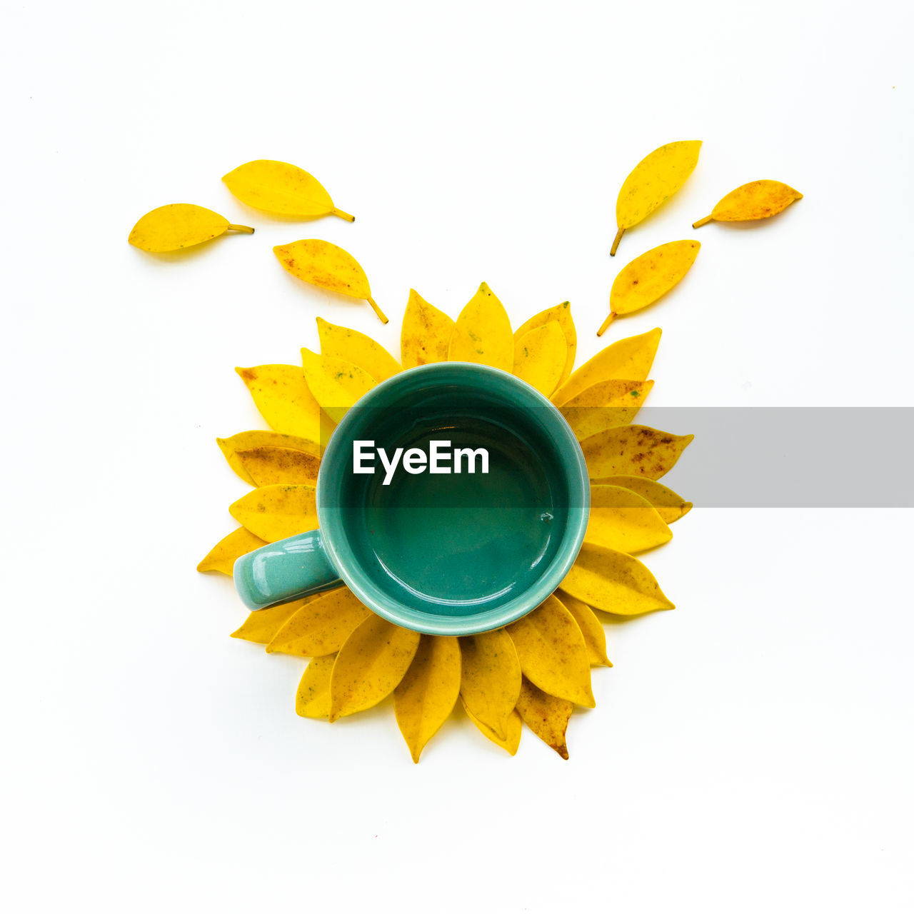 Directly above shot of cup on leaves against white background