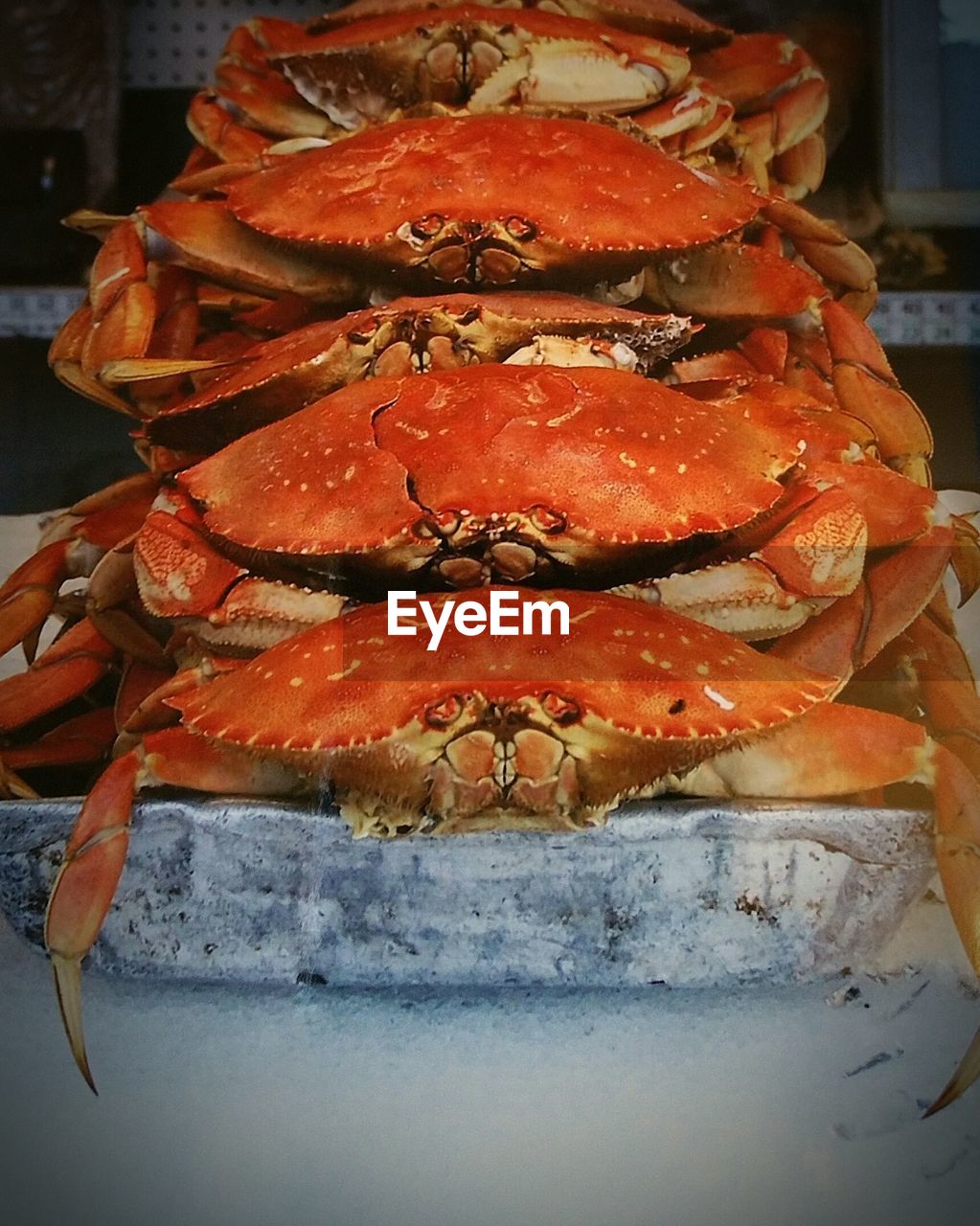 Close-up of cooked crabs on tray