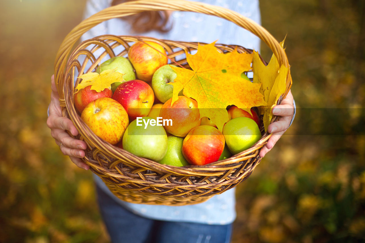 CLOSE-UP OF HAND HOLDING FRUITS IN BASKET