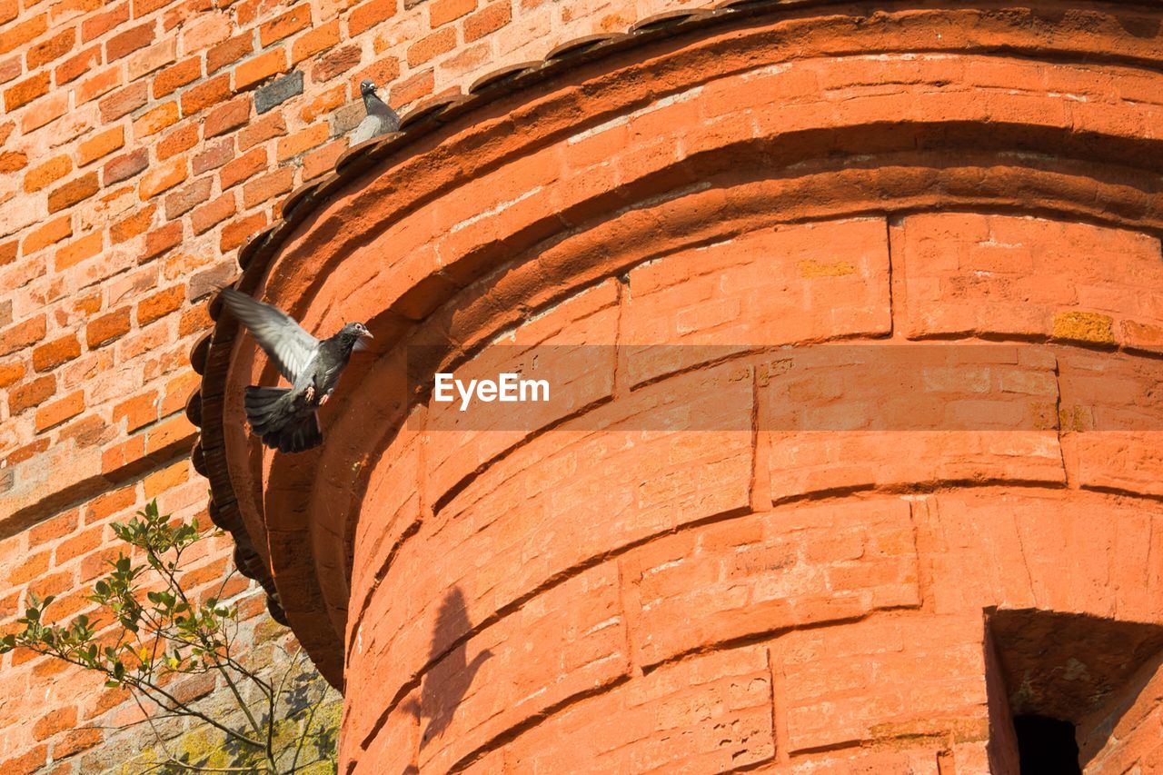 LOW ANGLE VIEW OF MAN ON BRICK WALL