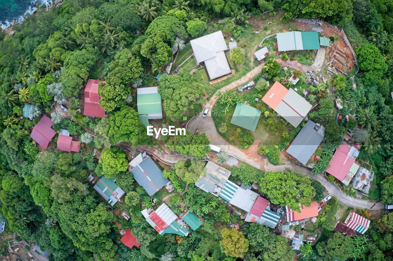 Aerial view of island houses among urban green nature in praslin, seychelles.