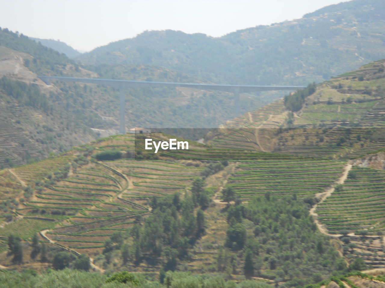 HIGH ANGLE VIEW OF RURAL LANDSCAPE