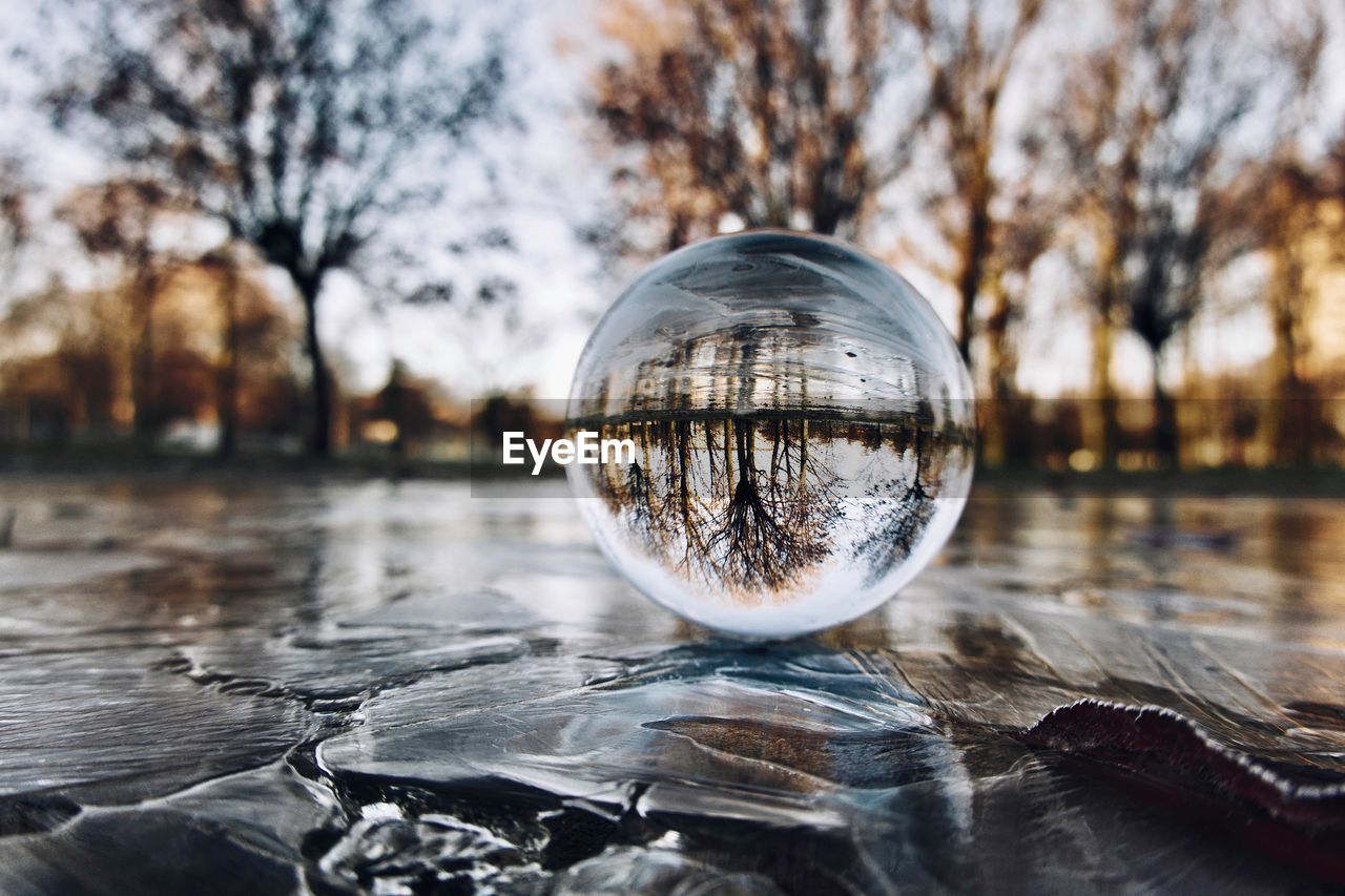 reflection, water, tree, nature, winter, sphere, focus on foreground, crystal ball, no people, sky, outdoors, close-up, plant, day, transparent, glass, sunlight, tranquility, shape, environment, lake, shiny, geometric shape, selective focus, blue, autumn, light