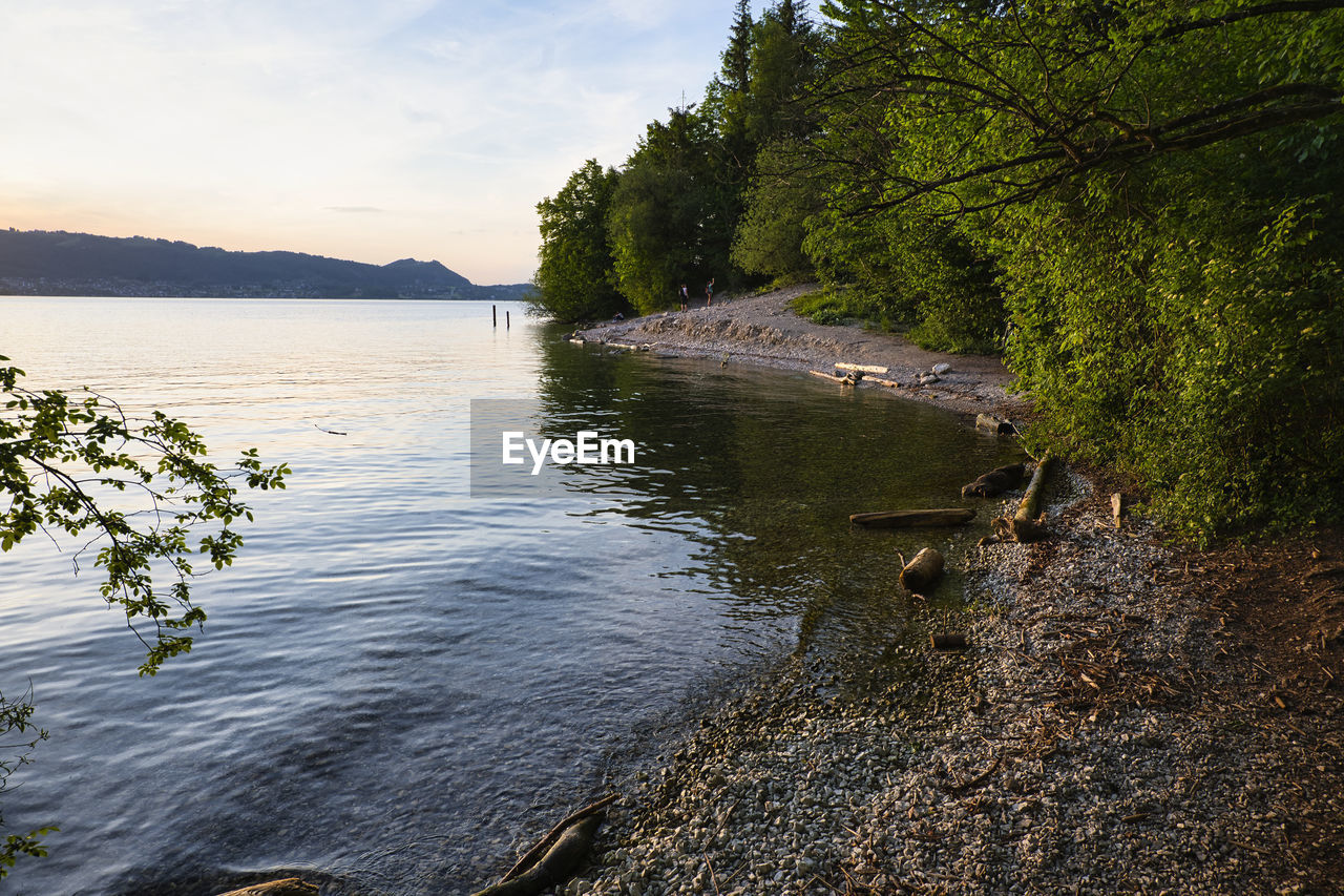 Scenic view of lake in forest against sky