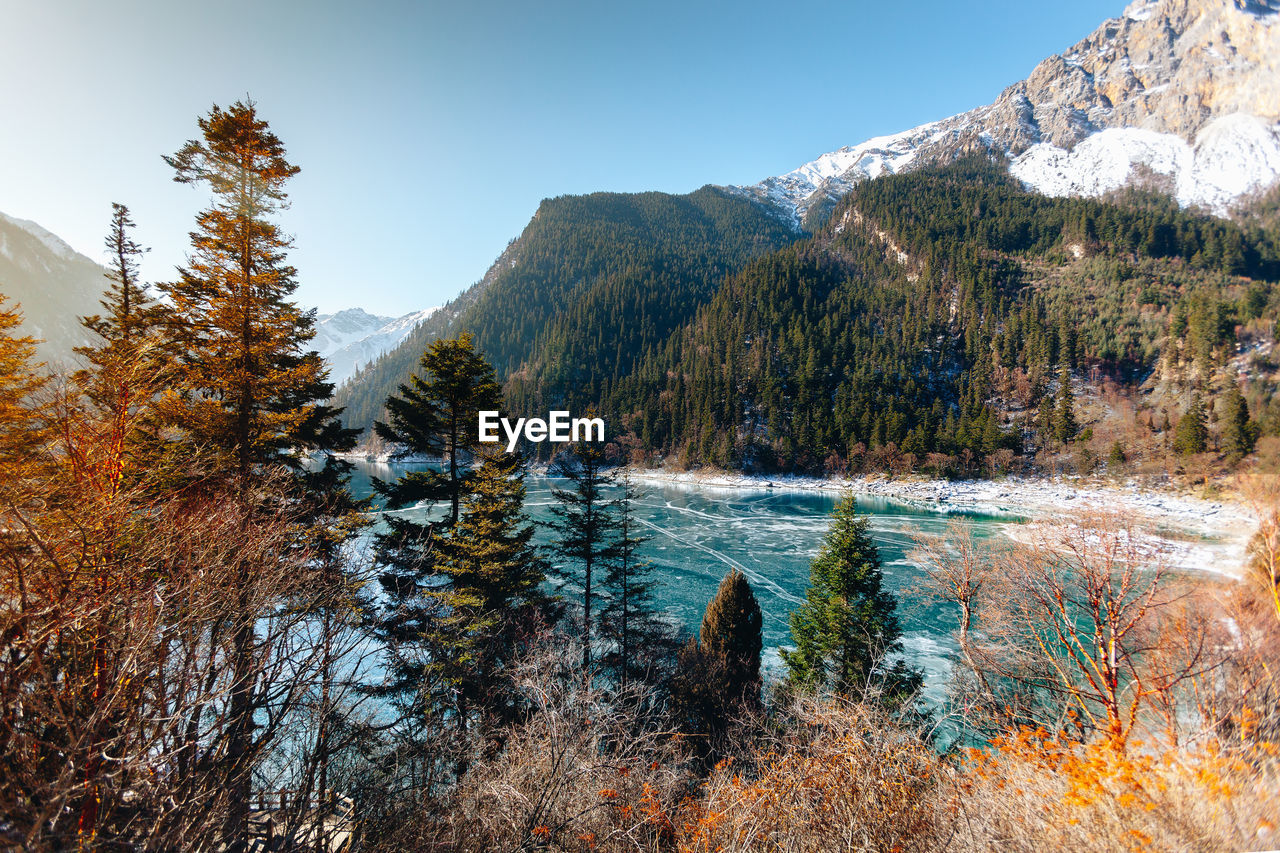 SCENIC VIEW OF LAKE BY TREES DURING WINTER