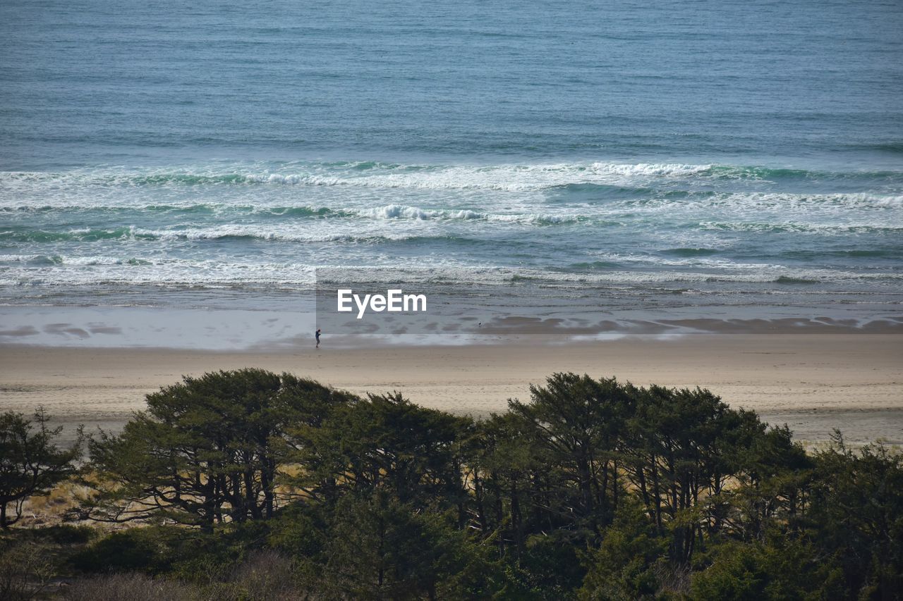 HIGH ANGLE VIEW OF SEA AGAINST TREES