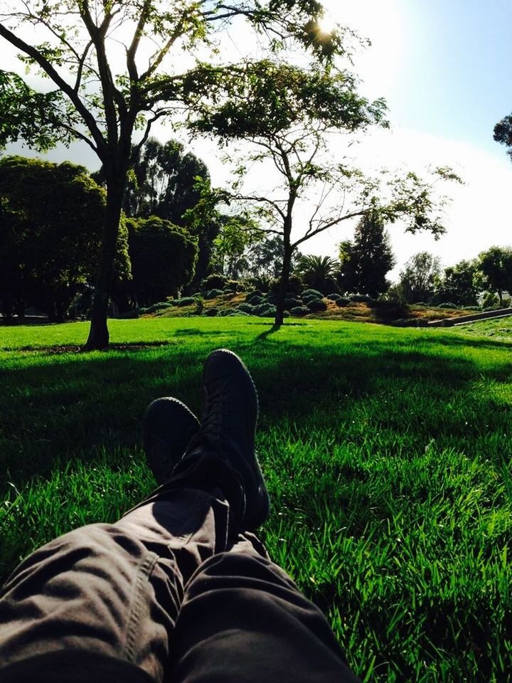 LOW SECTION OF PERSON RELAXING ON GRASSY FIELD