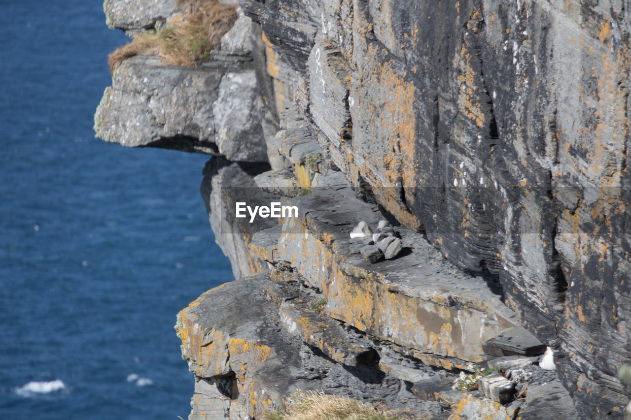 Close-up of cliff by sea against sky