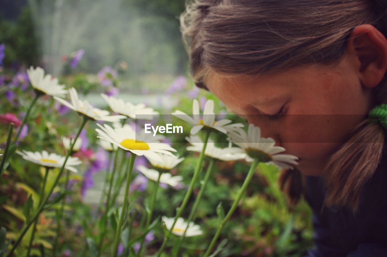 Close-up side view of girl smelling daisy