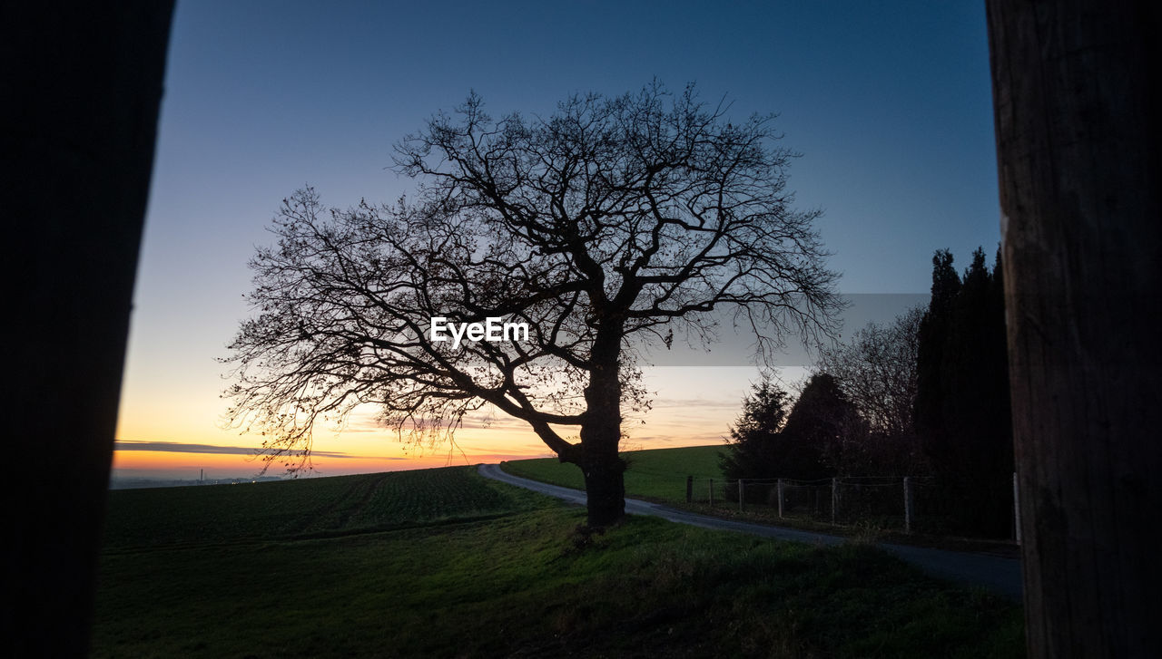 SILHOUETTE BARE TREES ON FIELD AGAINST SKY AT SUNSET