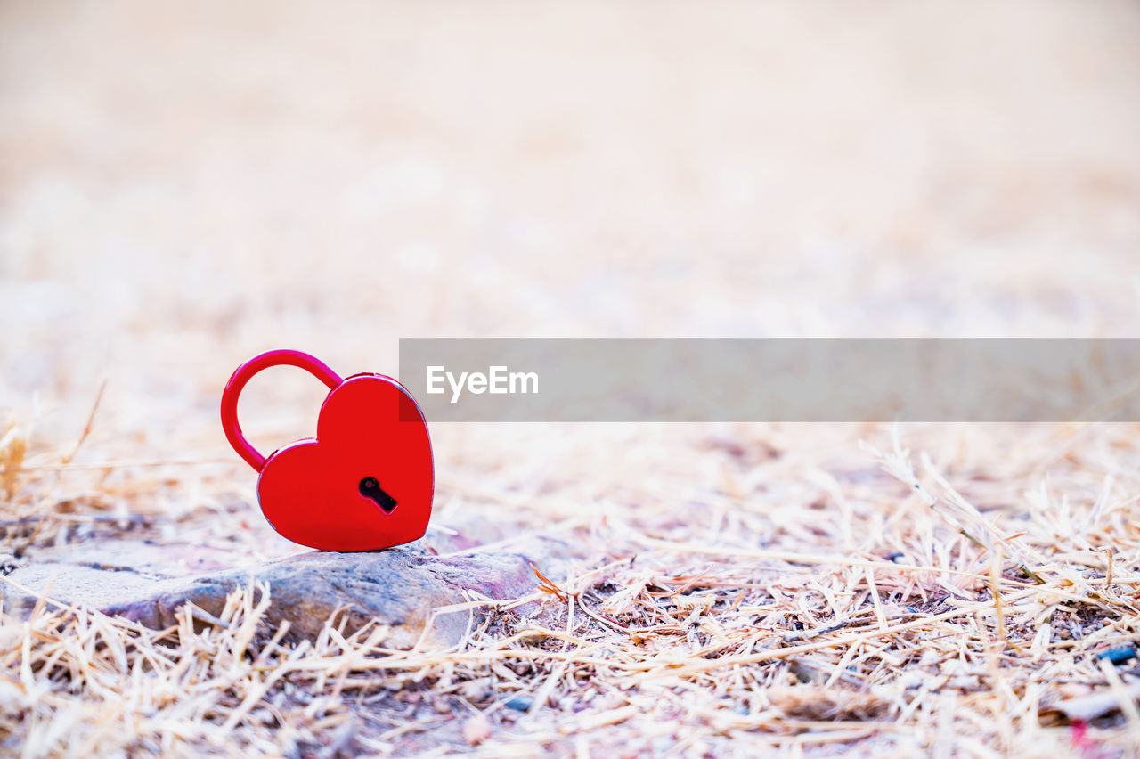 Close-up of heart shaped lock on grass land