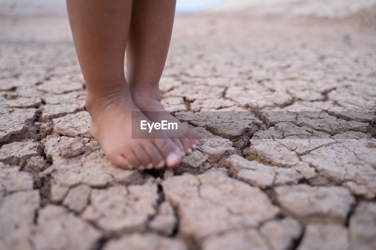 Low section of child legs on land