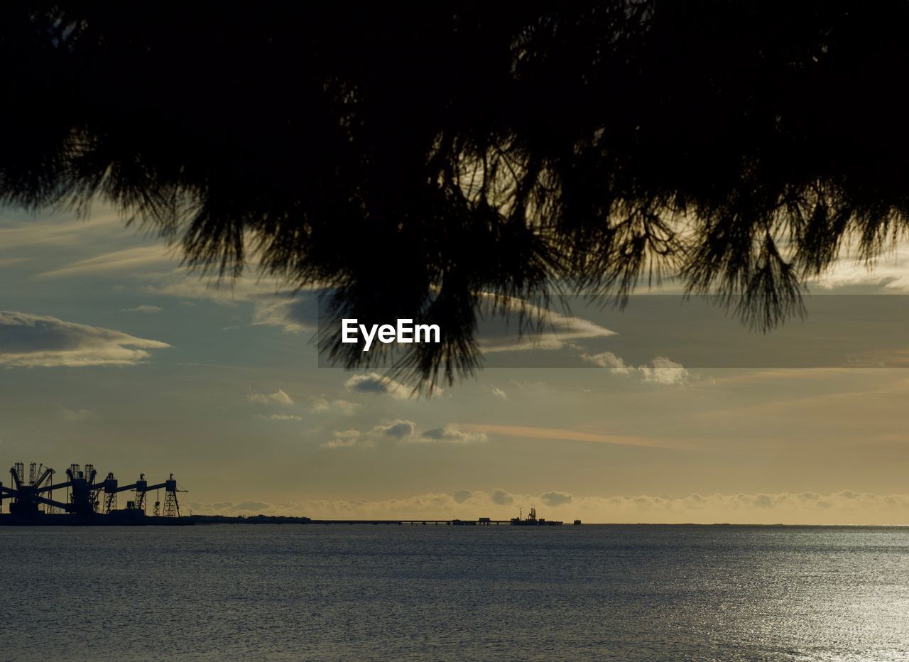 SILHOUETTE PALM TREES BY SEA AGAINST SKY