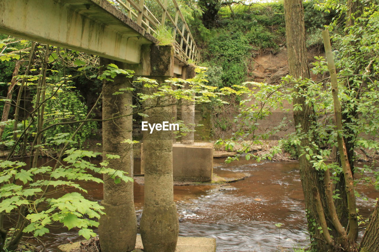 Footbridge over river in forest