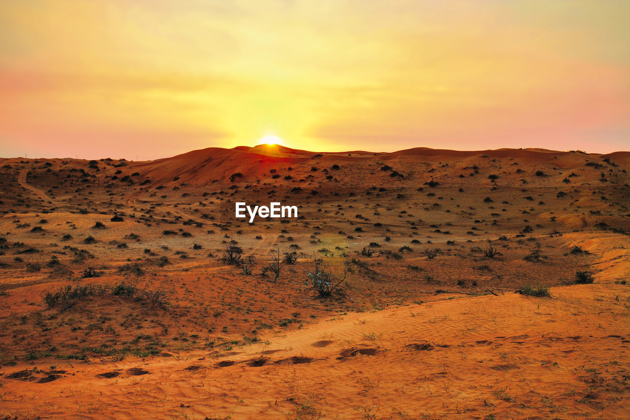 Scenic view of desert during sunset