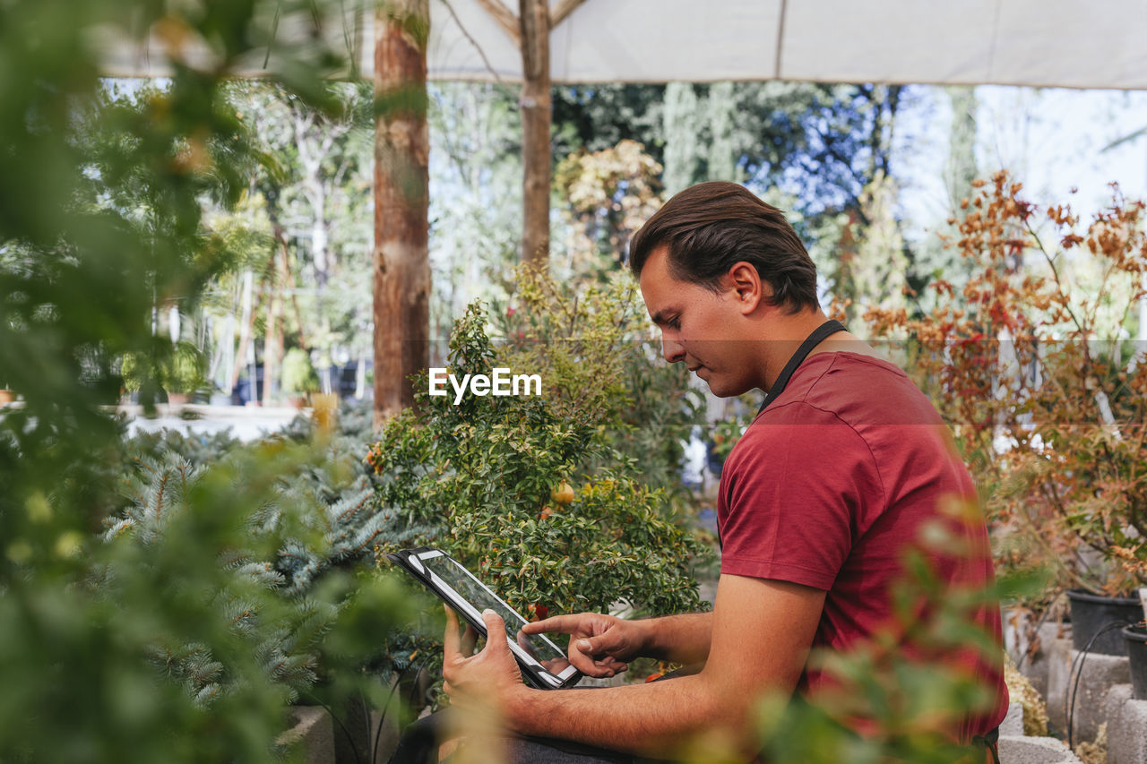 Side view of focused man with brown hair using tablet while working in greenhouse with plants at daytime