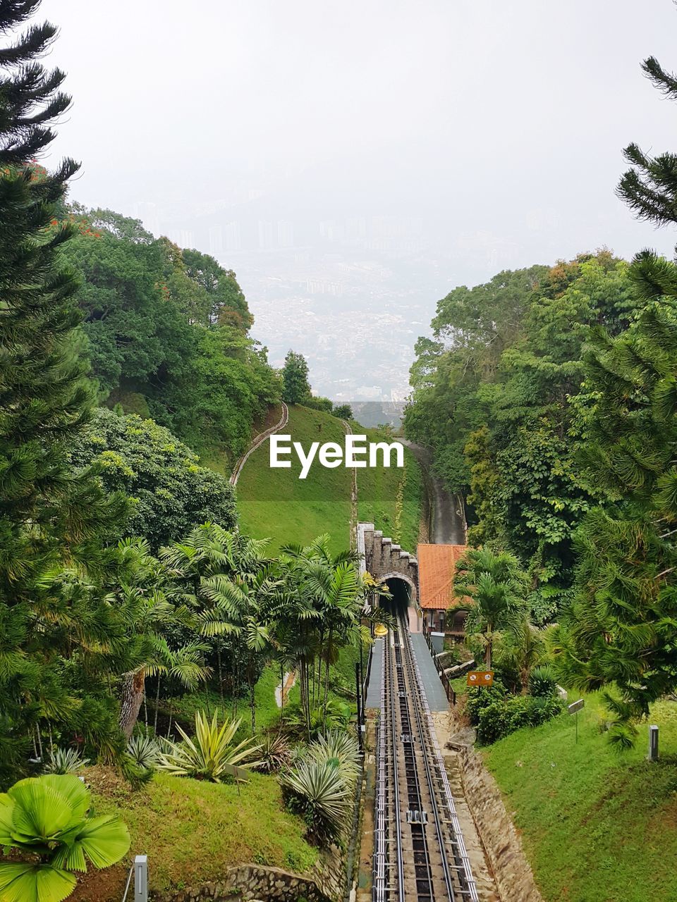 RAILROAD TRACK AMIDST TREES AGAINST SKY