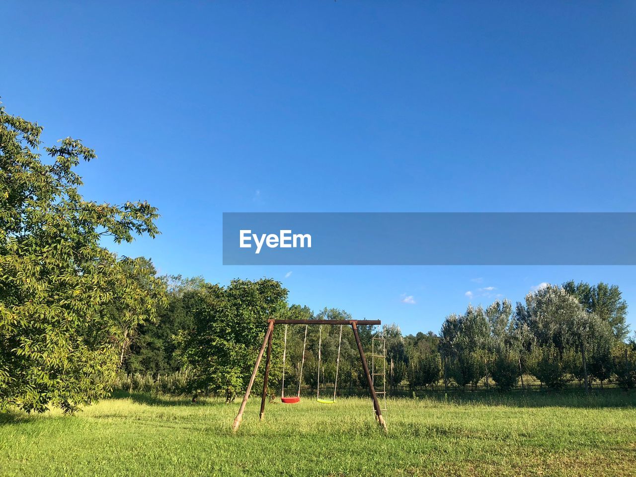 Trees on field against clear blue sky