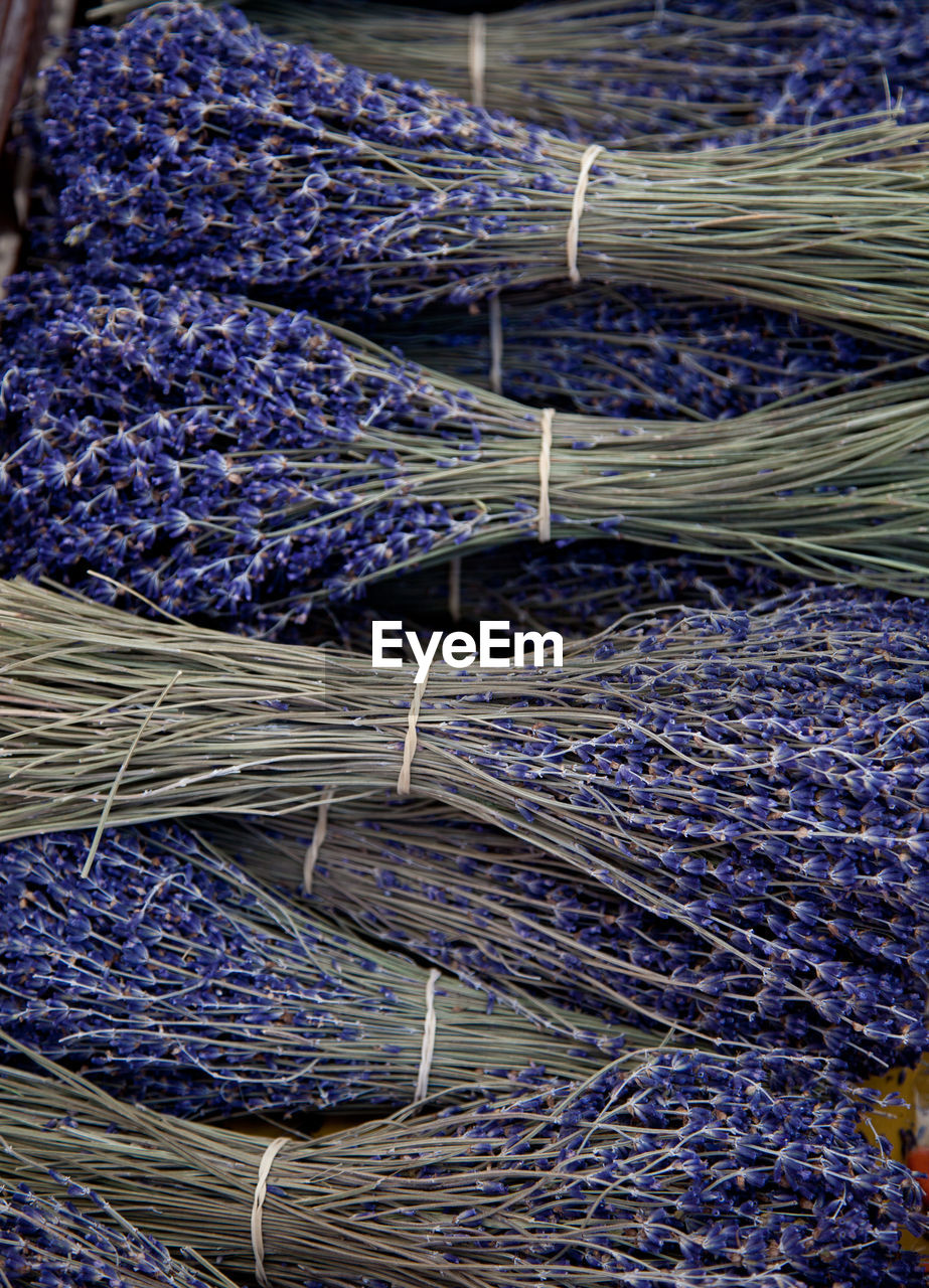 Full frame shot of dried lavenders