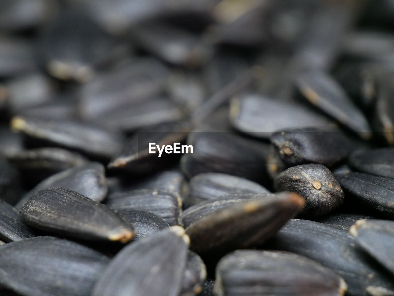 Full frame shot of seeds