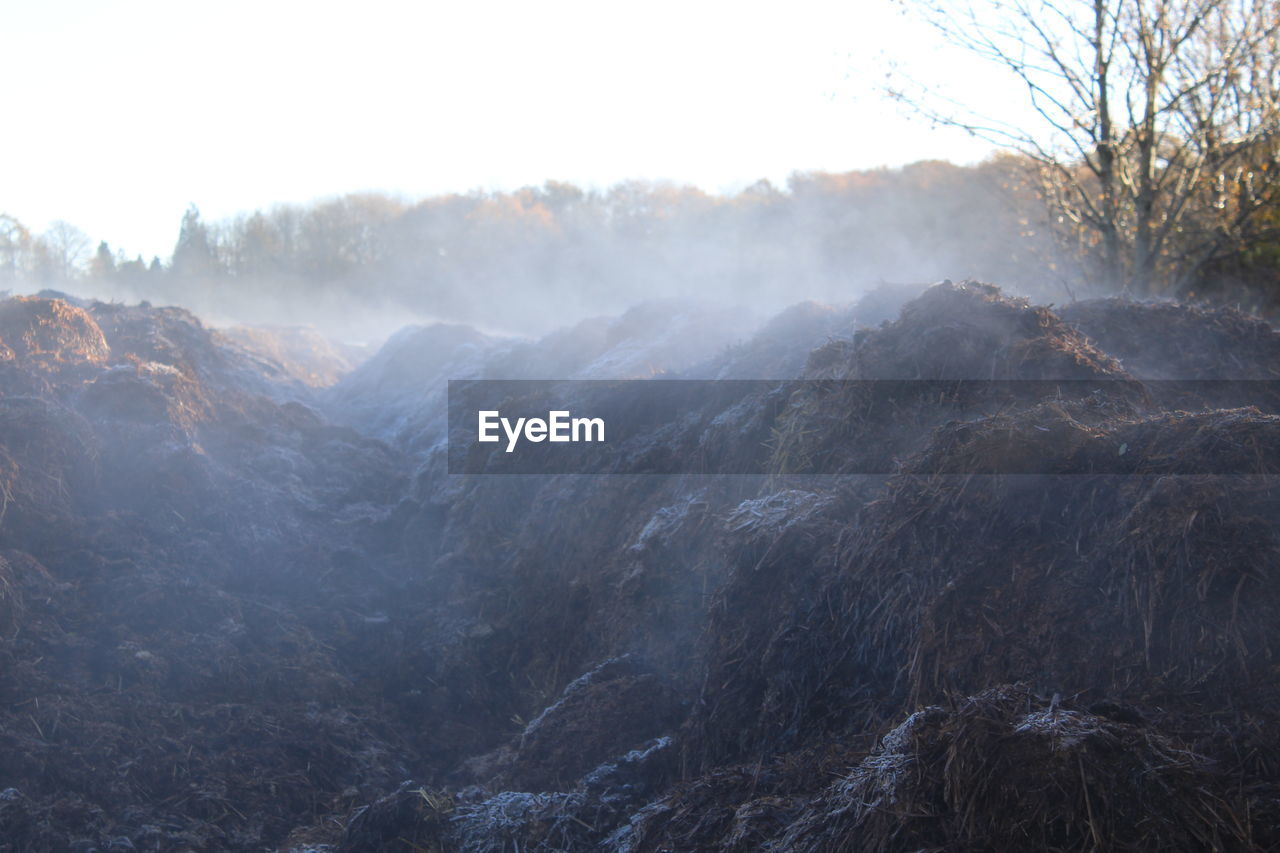 Steam rising off dung heap on a cold morning 