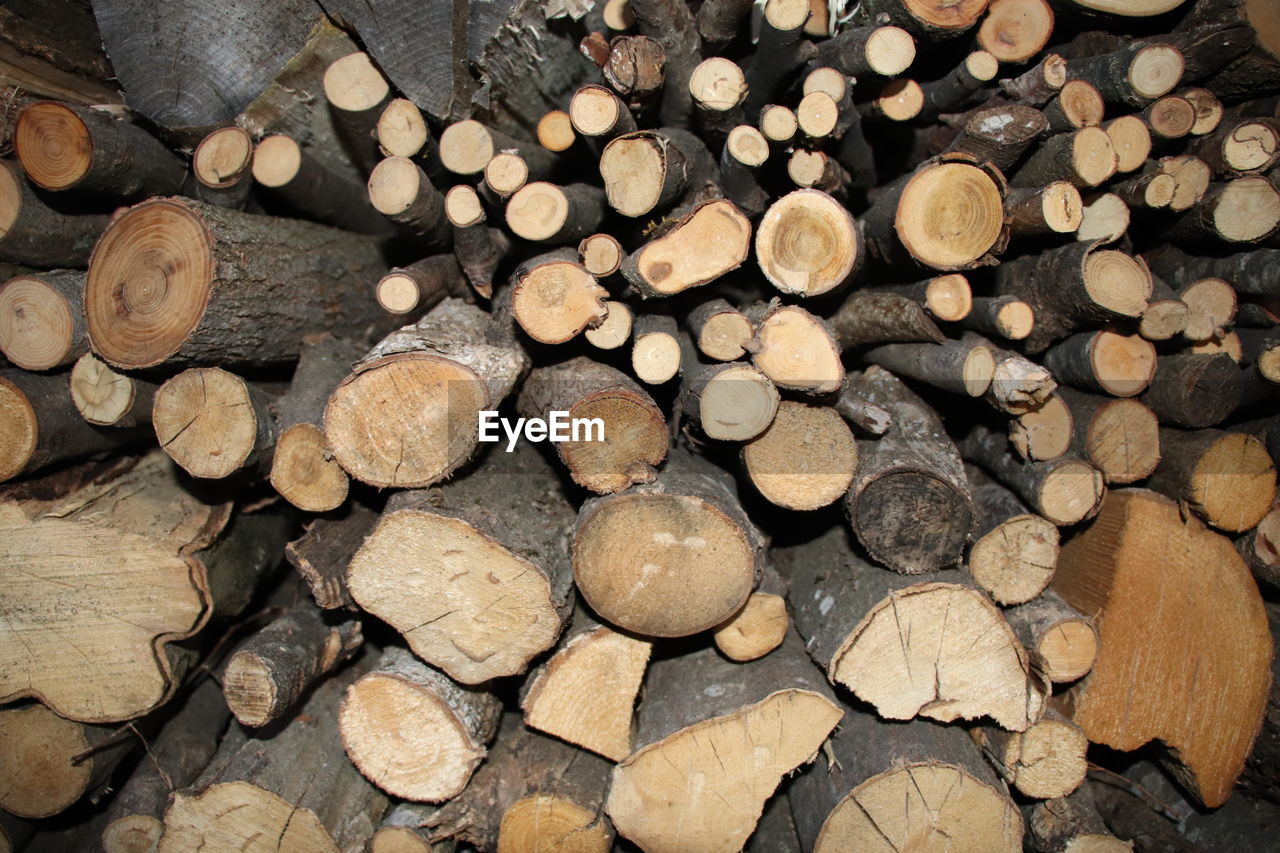 STACK OF LOGS IN FOREST