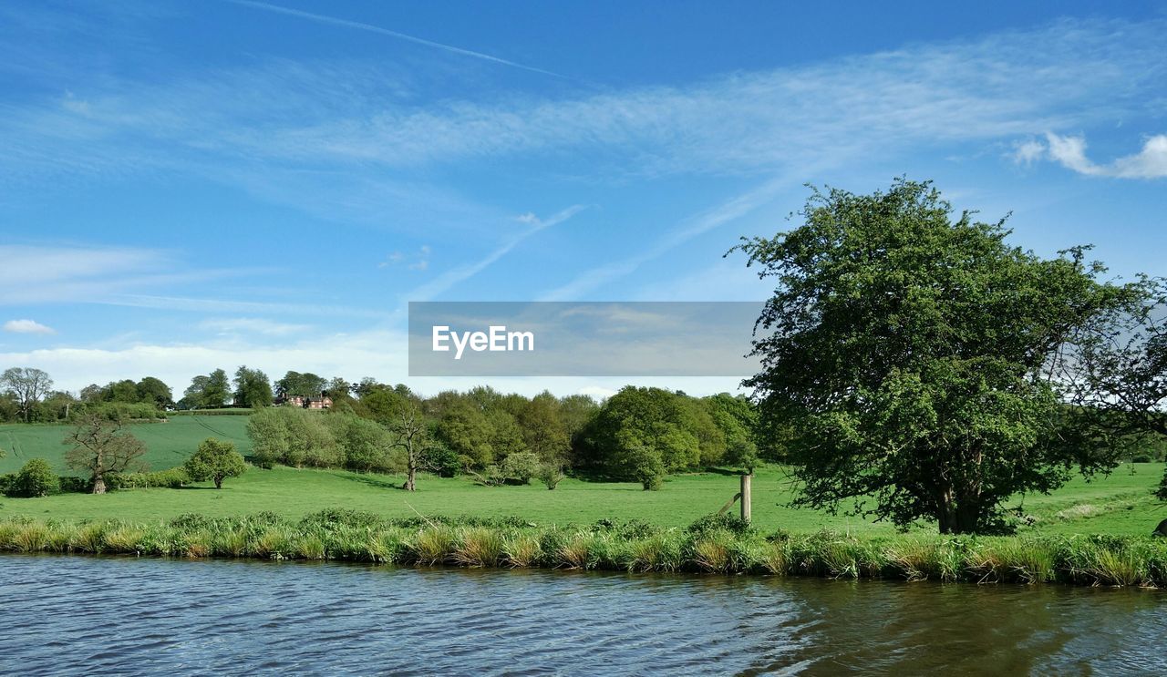 River in front of grassy field against blue sky