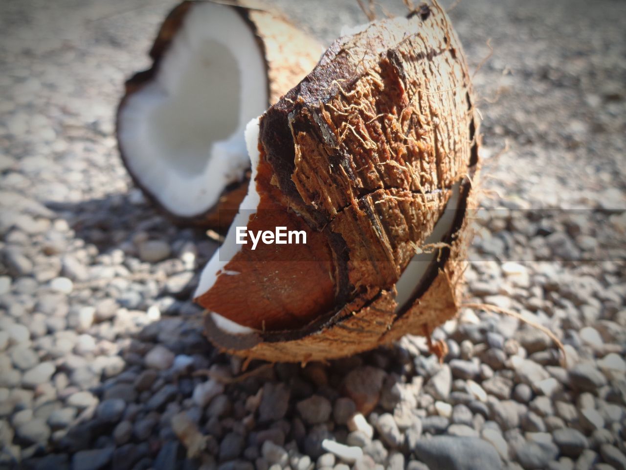 Close-up of coconut 