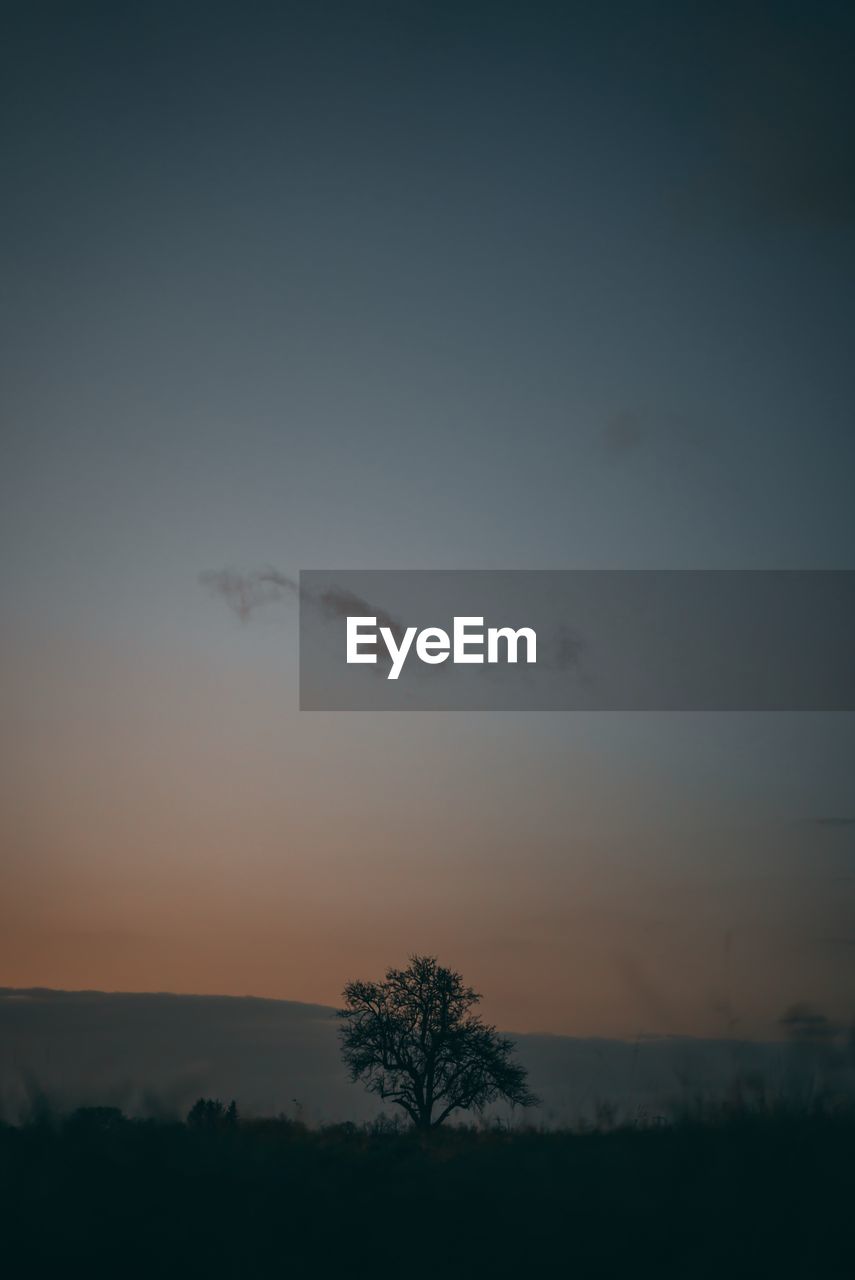 Scenic view of silhouette trees against sky during sunset