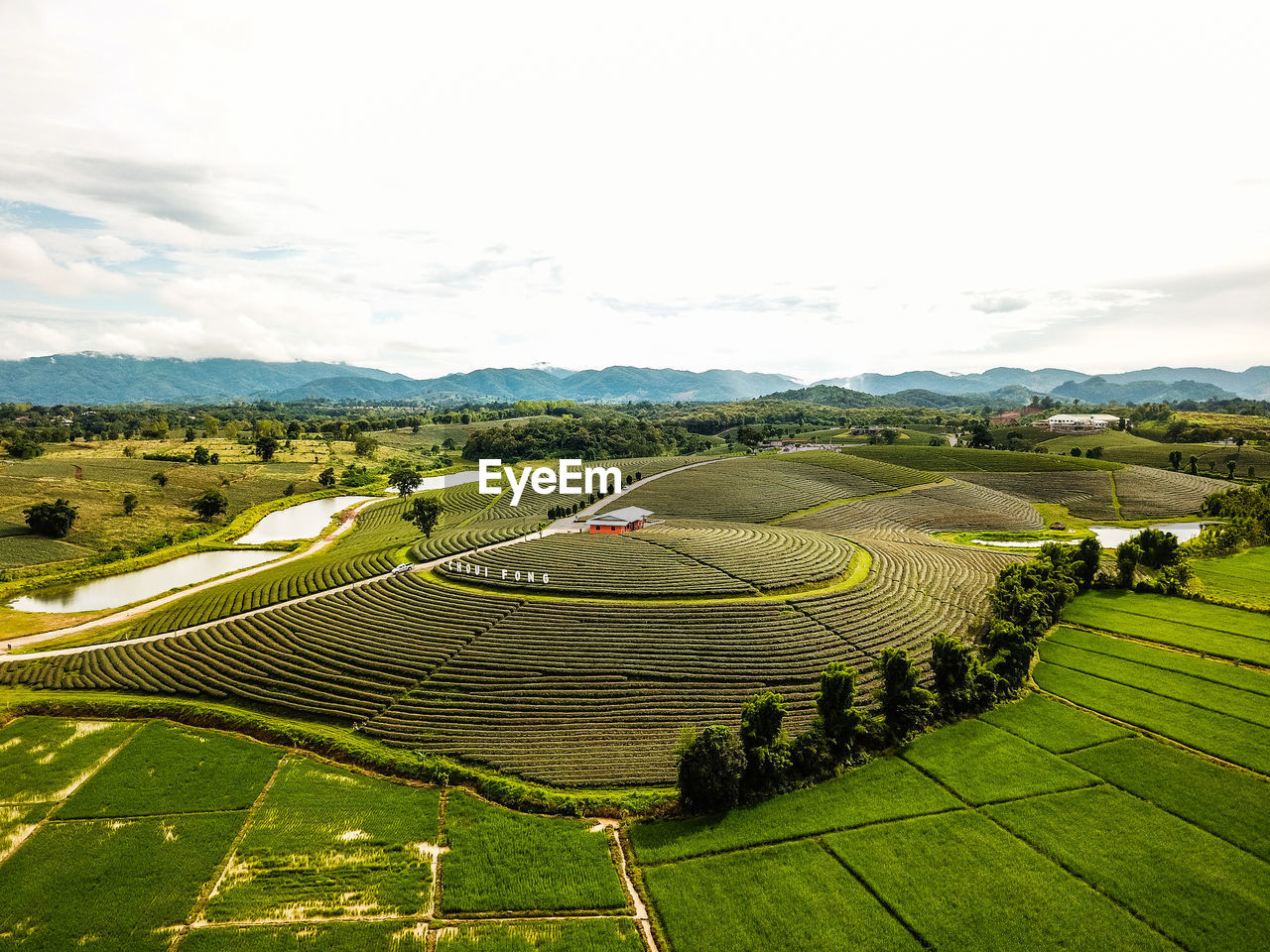 High angle view of agricultural field against sky