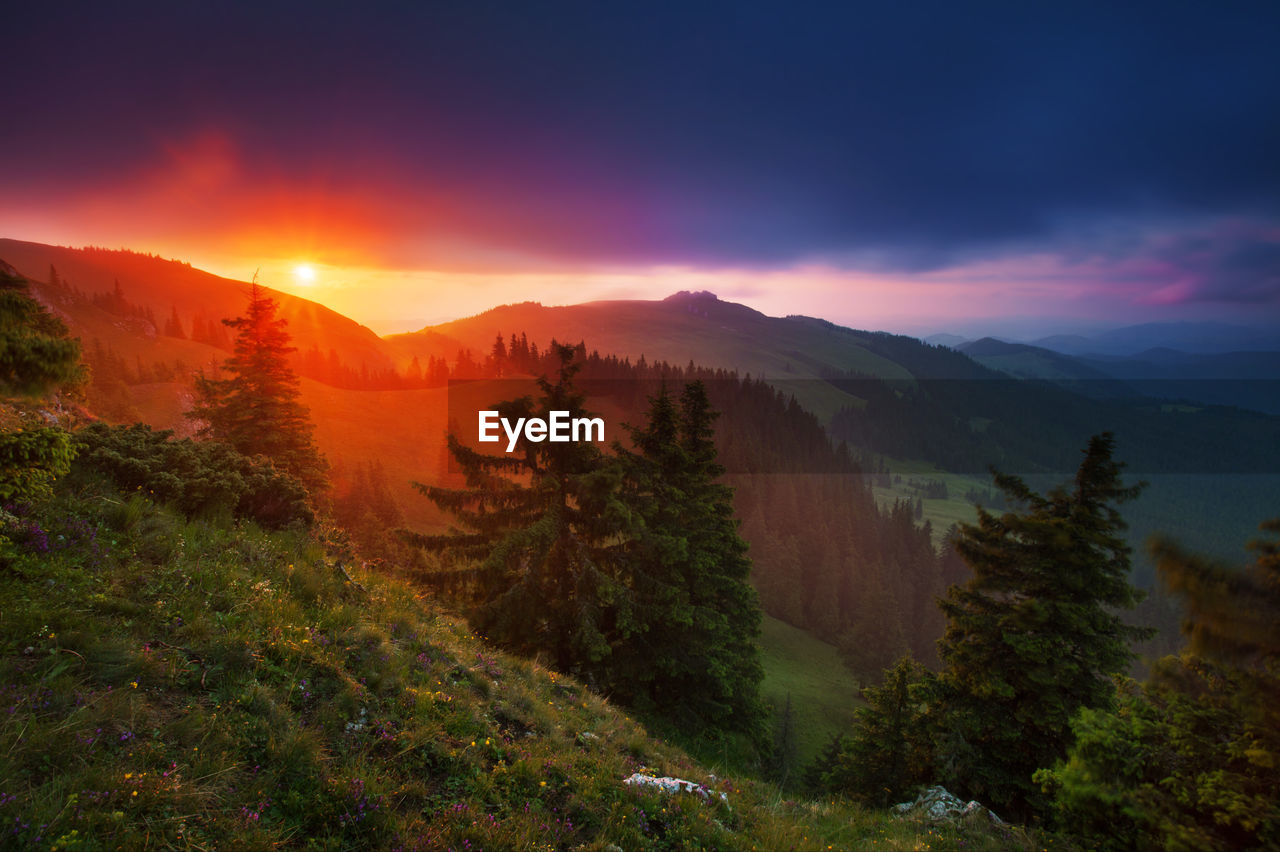 Scenic view of landscape against sky during sunset