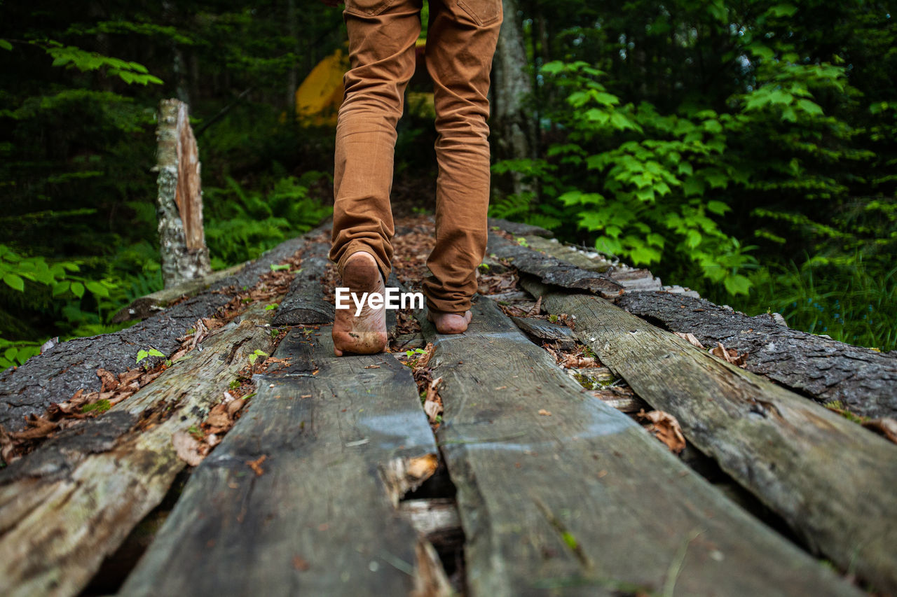 Low section of person standing on wood in forest