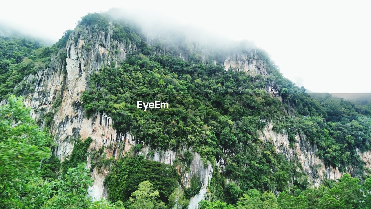 PANORAMIC VIEW OF ROCKY MOUNTAINS