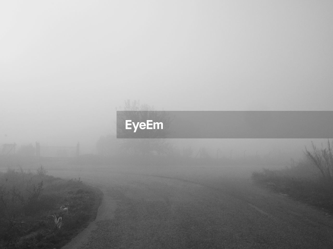 SCENIC VIEW OF LANDSCAPE IN FOGGY WEATHER