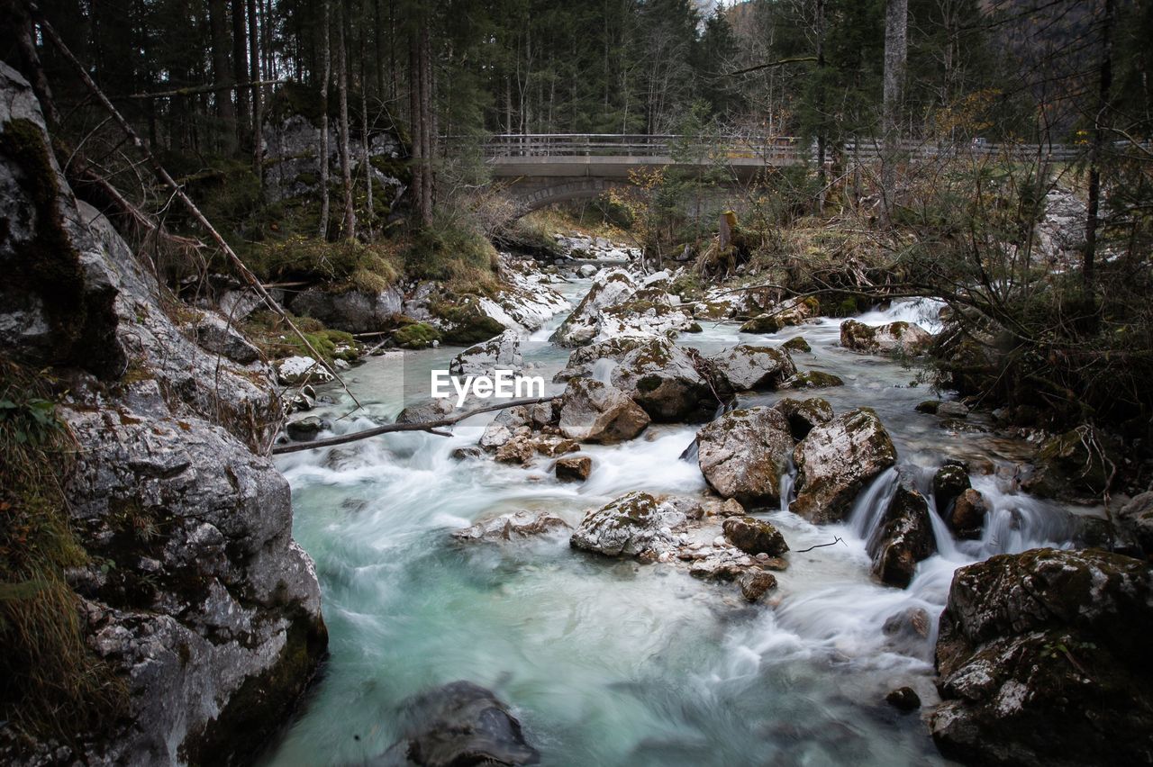 River flowing through rocks in forest