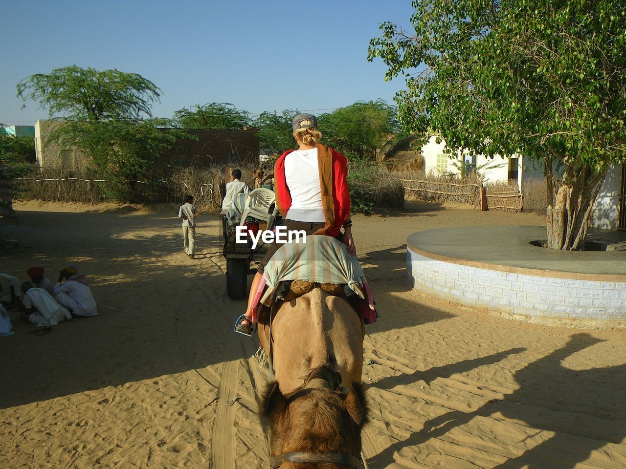 Young woman riding camel