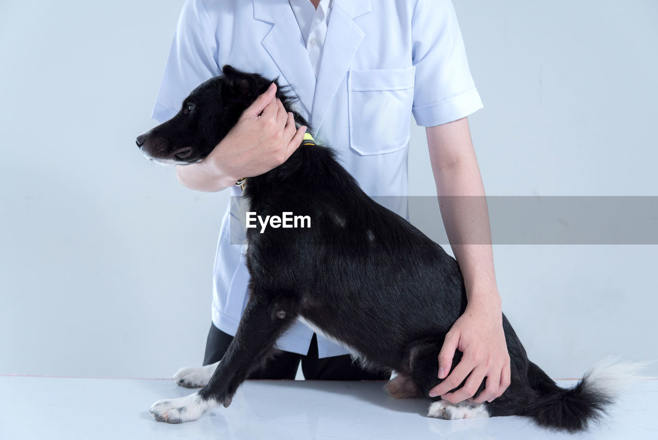 MIDSECTION OF WOMAN WITH DOG AGAINST WHITE WALL
