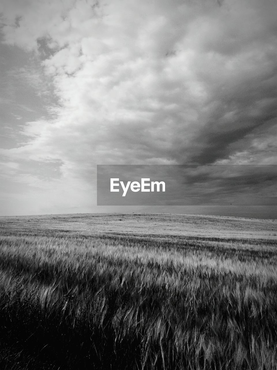 Scenic view of grassy field against cloudy sky