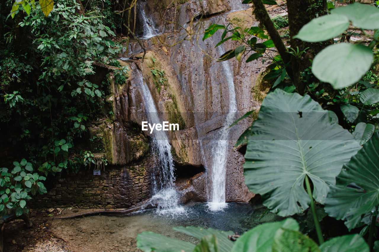 WATERFALL IN FOREST