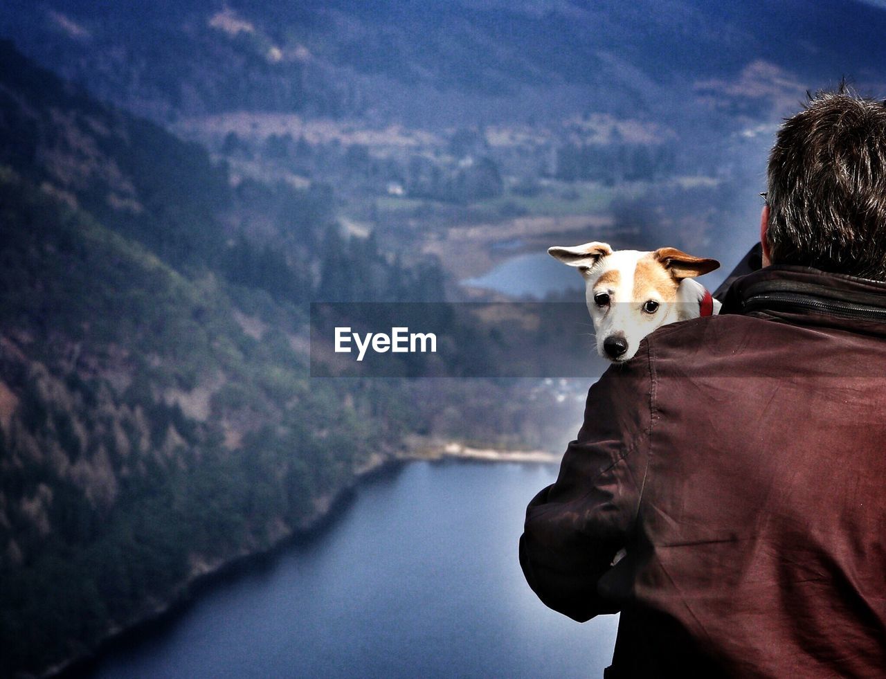 Rear view of man carrying jack russell terrier on mountain by lake