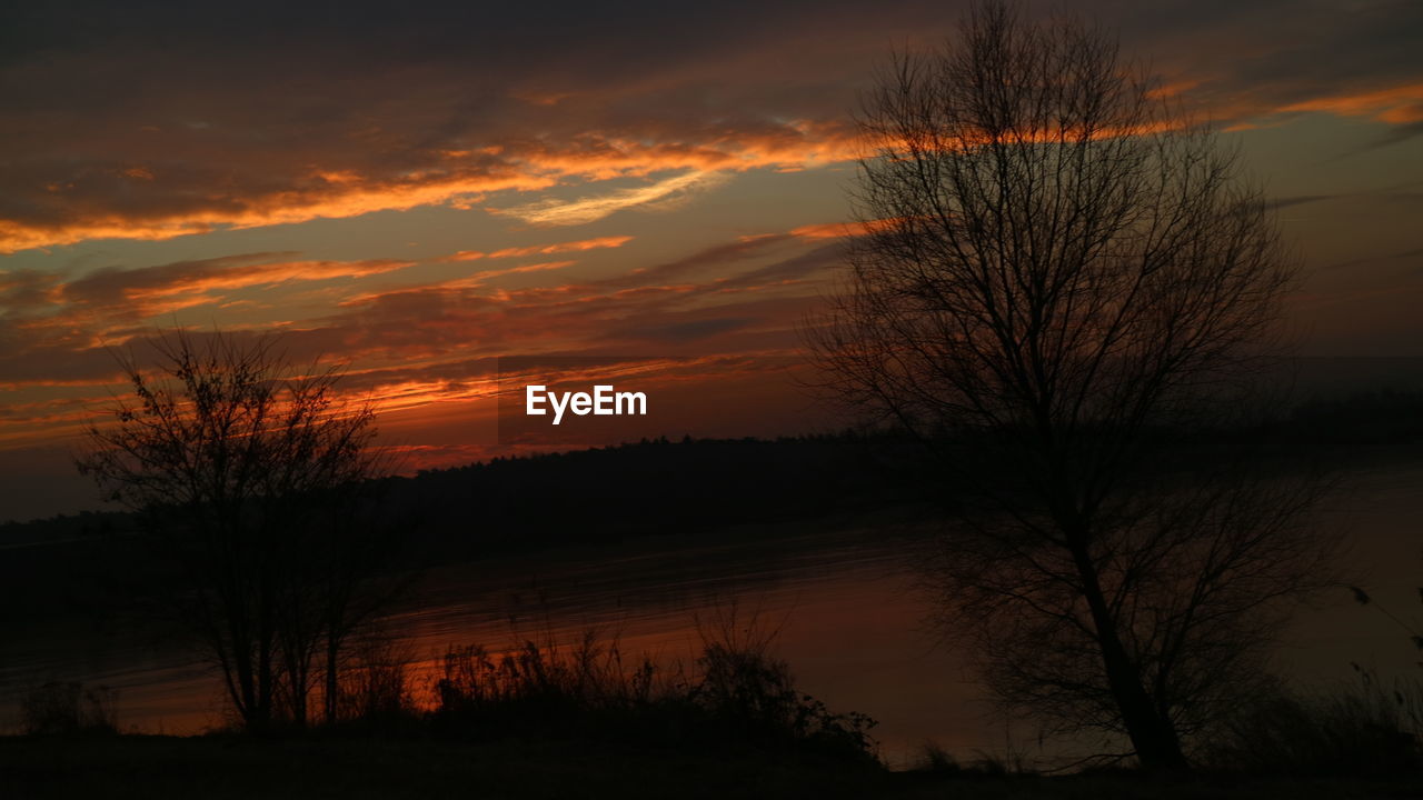 SCENIC VIEW OF SILHOUETTE TREES AGAINST SKY AT SUNSET